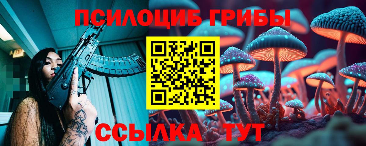 Псилоцибиновые грибы мицелий  Вход с VPN  Армавир  Галлюциногенные грибы Psilocybe 